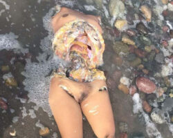 Remains of dismembered woman washed up on beach