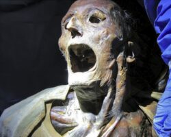 Mummified corpse
