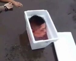 Severed head found in cooler box